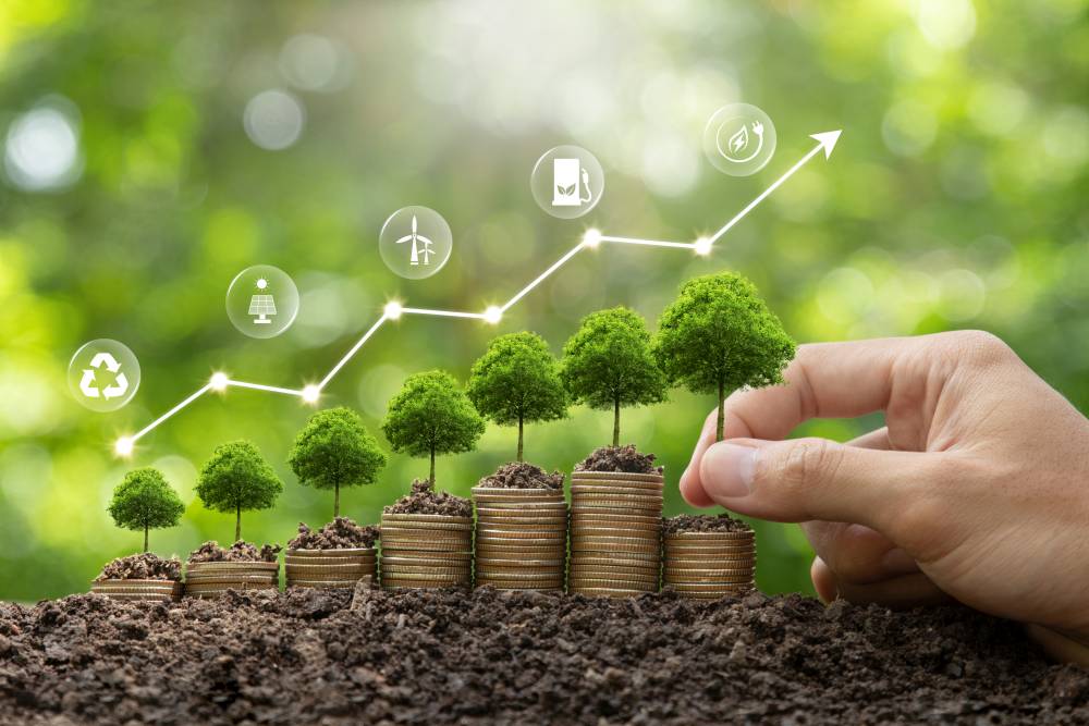 Image of an illustration of green business growth. Finance sustainable development. Fund services and sustainable investments. Hand holding a tree growing on a stack of coins with a digital growth graph and icons.