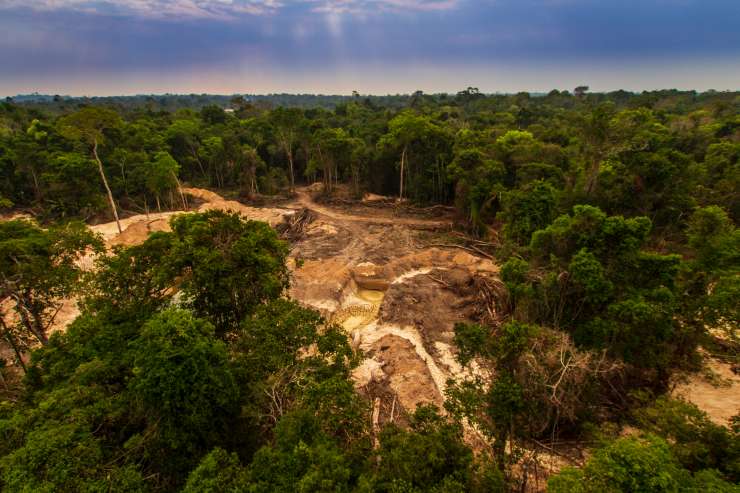 Big green trees are being cut down in the amazon rainforest causing the landslide.