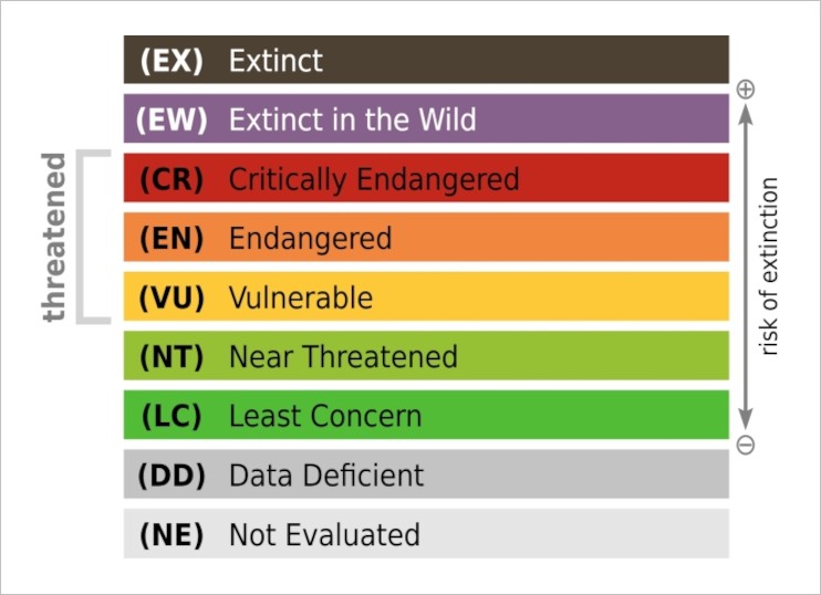 IUCN Red list 9 categories marked with different color bars on the white and light grey background.