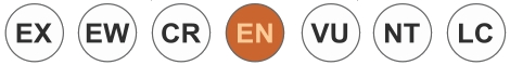 An endangered icon on the orange background with the letter EN on white color inside the circle with black edge.