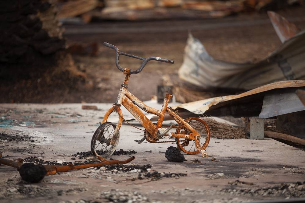 Child's bicycle destroyed by bushfire. Pieces of metal roof were on the ground covered with ash along with rusted bike.