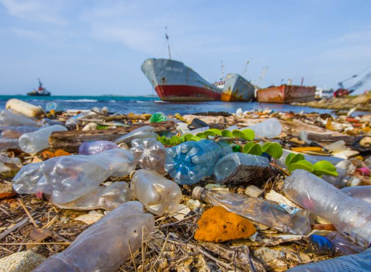 Waste and pollution washing up onto the shores of Colon, Panama with obsolete ships in the background.