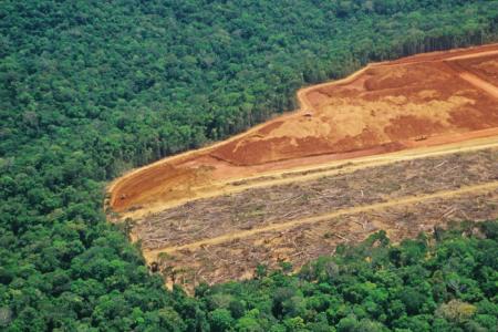 Beautiful green tropical forest surrounded by large areas being deforested.