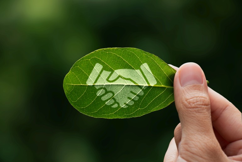 A photo showa hand of human is holding painted green leaf with handshake icon in light green.