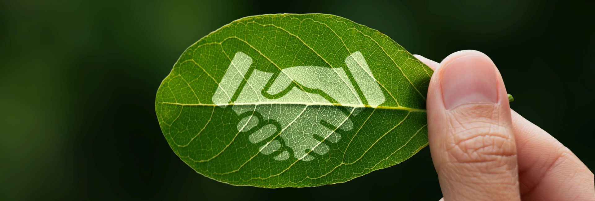 A photo showa hand of human is holding painted green leaf with handshake icon in light green.