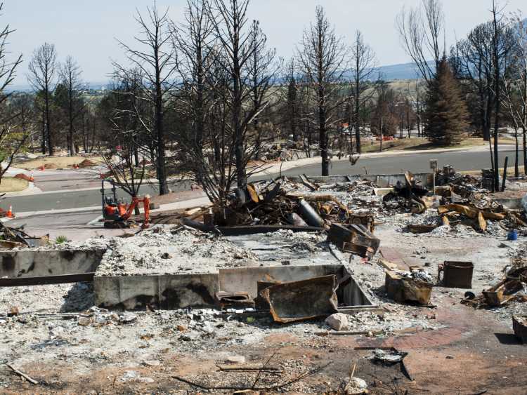 Burned trees and ashes and debris from fire destroyed homes.