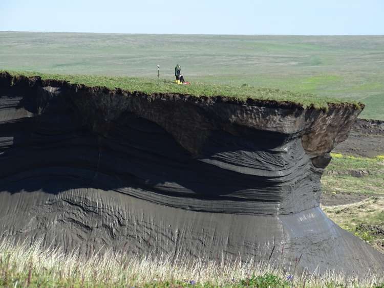 A person stands on eroded permafrost with dark layers exposed beneath grass, likely conducting research on a flat, grassy plain