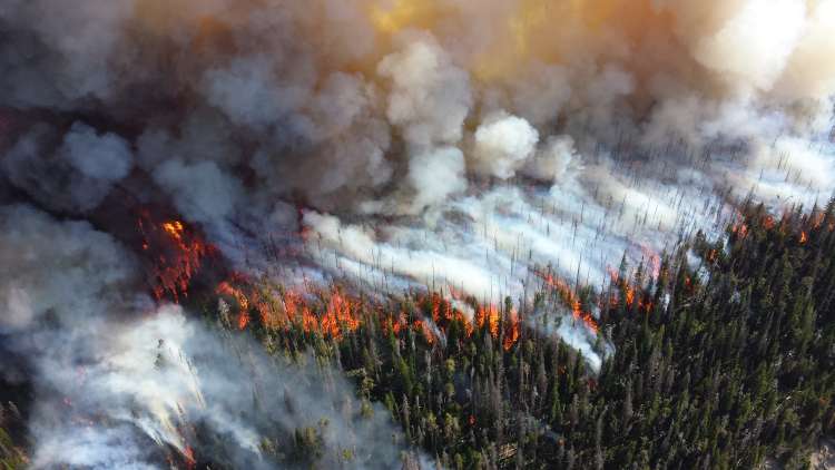 Aerial view of a forest wildfire with thick dark smoke and intense flames spreading through the green trees.